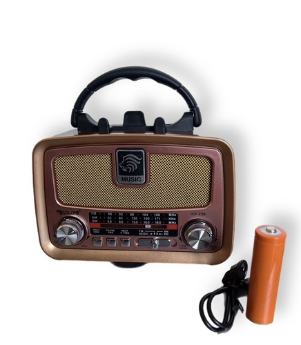 Tragbarer radio - tragbarer, fm