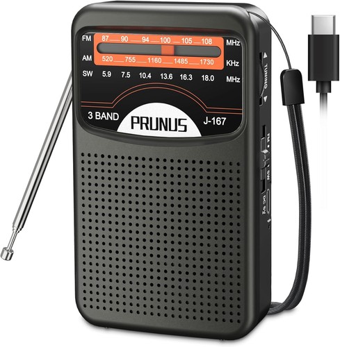 Prunus 167 mini radio sw - mini,
